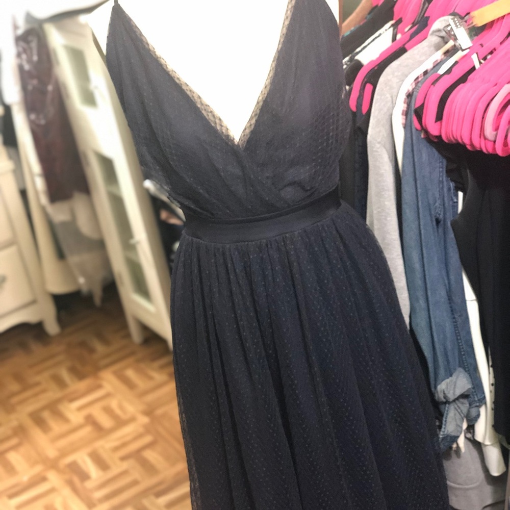 Express Navy Tulle Inspired Dress